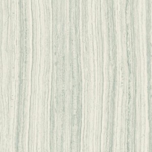 Gạch lát sàn Trường Thịnh GENESIS SERIES 60FW05R